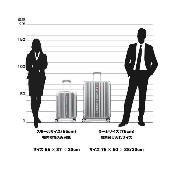 【最安値人気】 エム エス シーSWISS MILITARY CYGNUS シグナス 42L メタルシルバー SM-A820 1台
