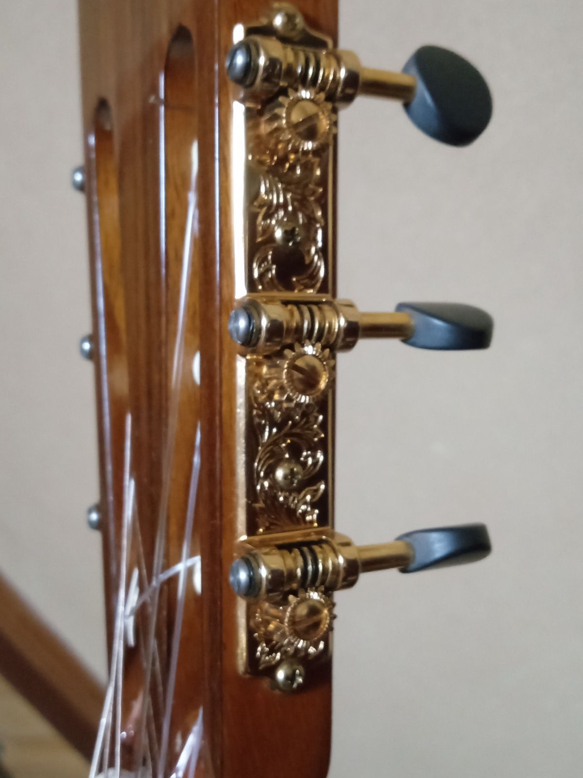 ARIAの中古ギター ARIA アリア 19世紀 ラコートタイプギター - メルカリ