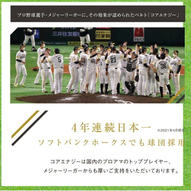 種類14 シルバー|パープル CoreEnergy コアエナジー3 野球 ベルト サポーターベルト 送料無料 体幹 プロ野球選手推薦 CGB0300 WHITEMONARCHHOTEL_COM