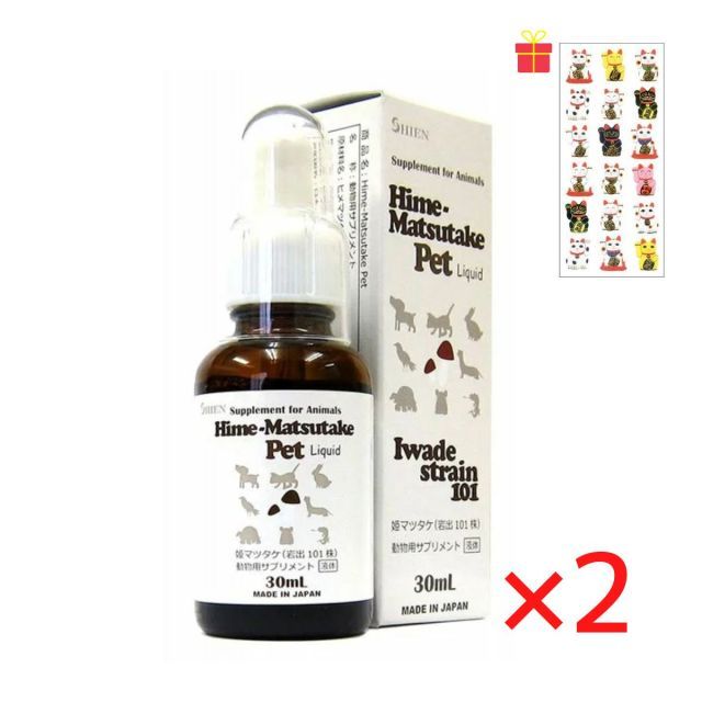 犬と猫の腫瘍診療　裁断済み 裁断済】犬と猫の腫瘍診療