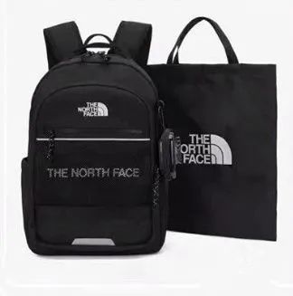ザノースフェイス THE NORTH FACE キッズ リュック JR. LIGHT SCH PACK II NM2DQ06R ジュニア ライト スクール パック リュックサック デイパック バックパック バッグ A4収納 ロゴ カジュアル NM2DQ06R