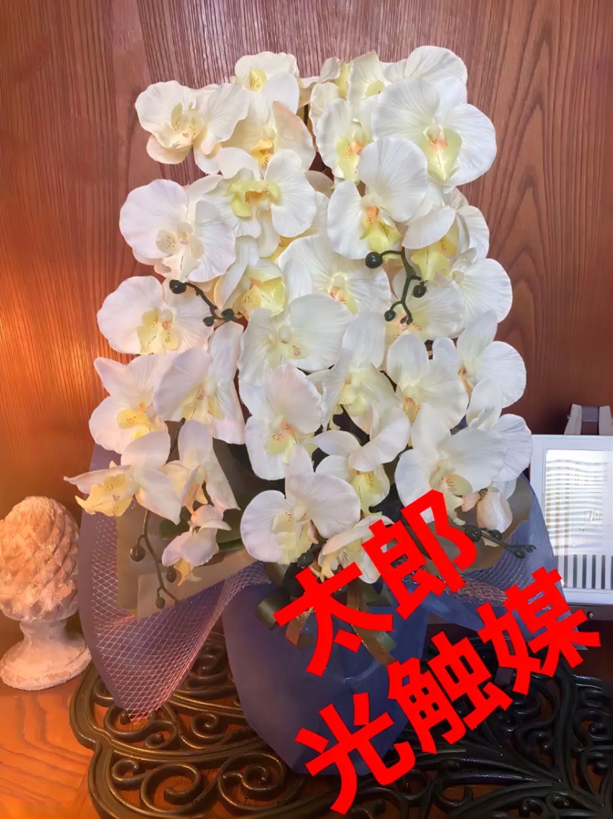 光触媒 人工観葉植物 ウォールグリーン フェイクグリーン 胡蝶蘭764242