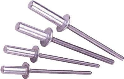 ロブテックス エビ ブラインドリベットシールドタイプ 1000本 アルミ スティール6-6 NSA 66 C 3724531