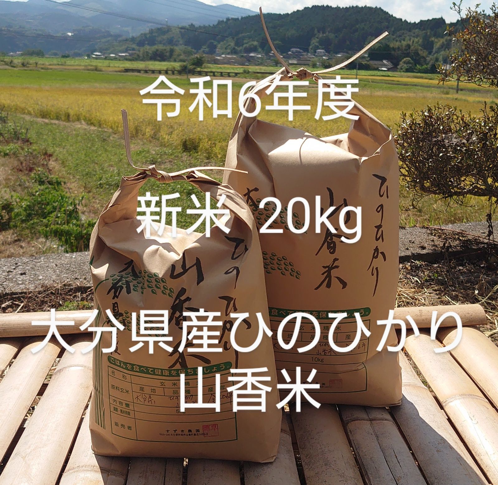 新米 令和3年度 10kg 無洗米 大分県産 ひのひかり 山香米