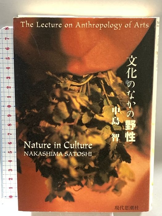 文化のなかの野性 芸術人類学講義 中島 智 2000 現代思潮社
