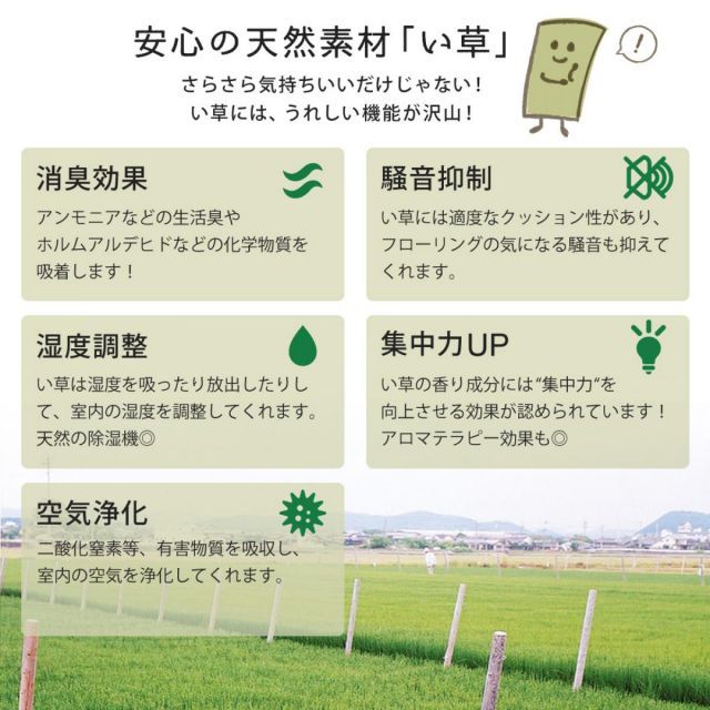 萩原 すき間のできにくい置き畳