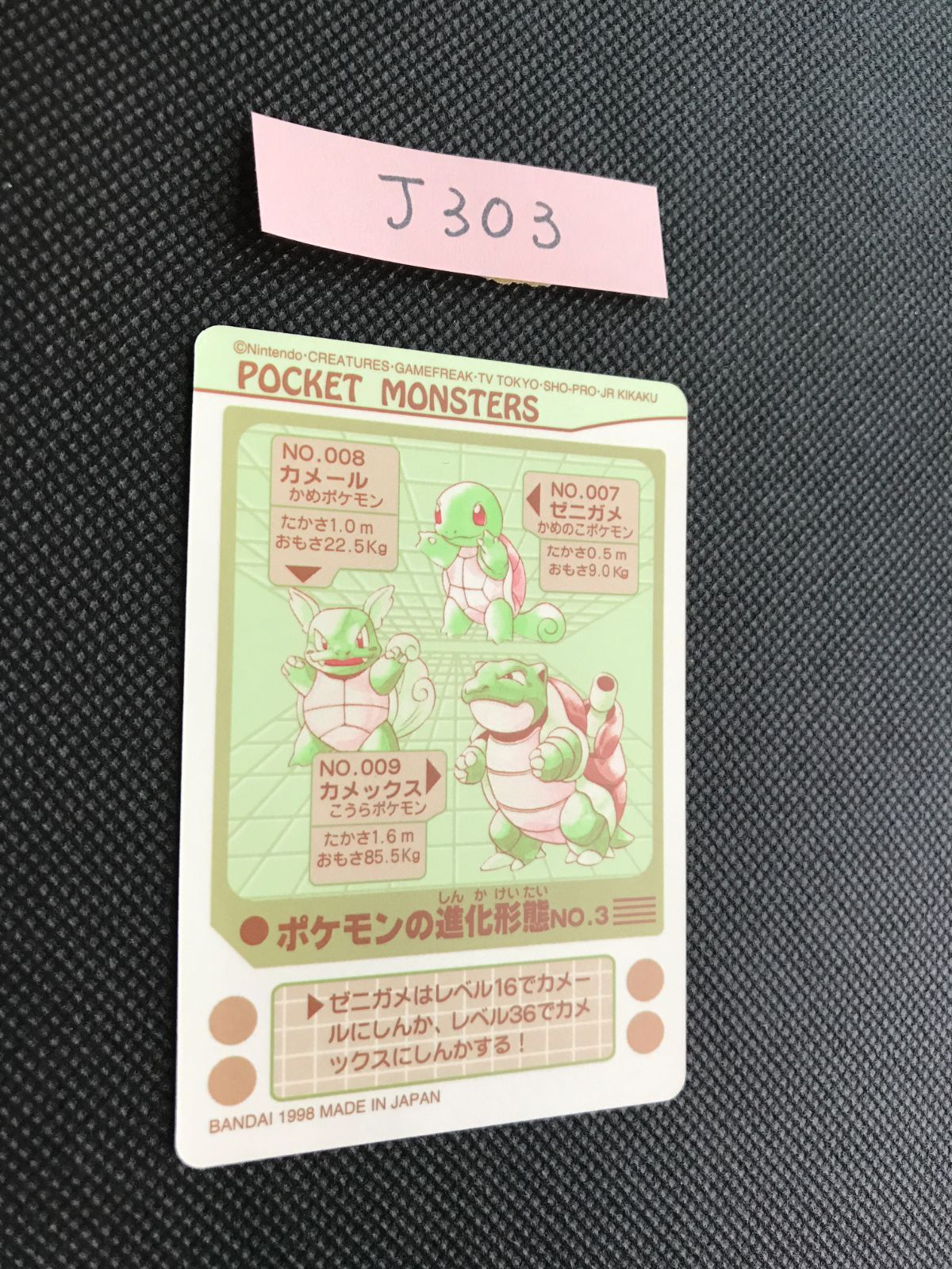 ゼニガメ カメール カメックス シールダス キラ [J-303] - メルカリ