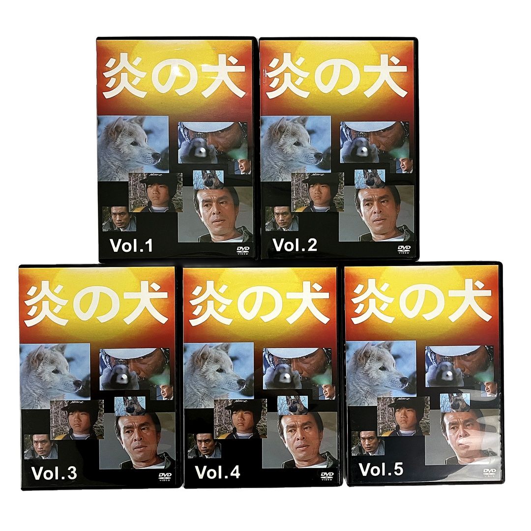 夏江麻岐 松田洋治