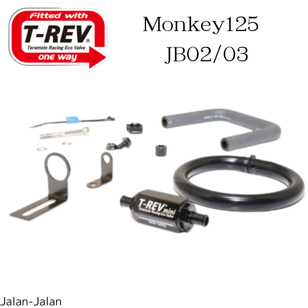 モンキー125 テラモト/TERAMOTO T-REVmini SPキット TERAMOTO T-REVmini SPキット ゴールド モンキー125 4225-mini