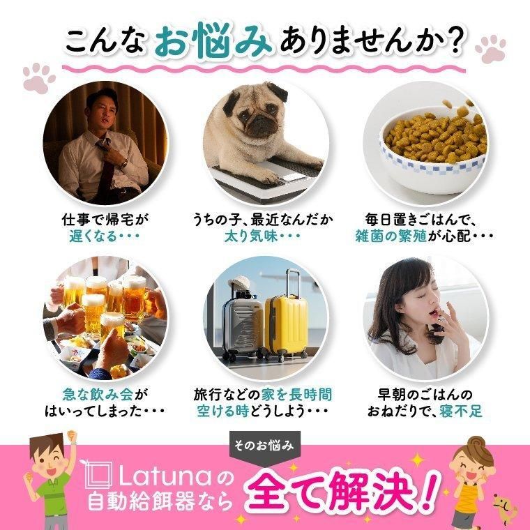 給餌 お