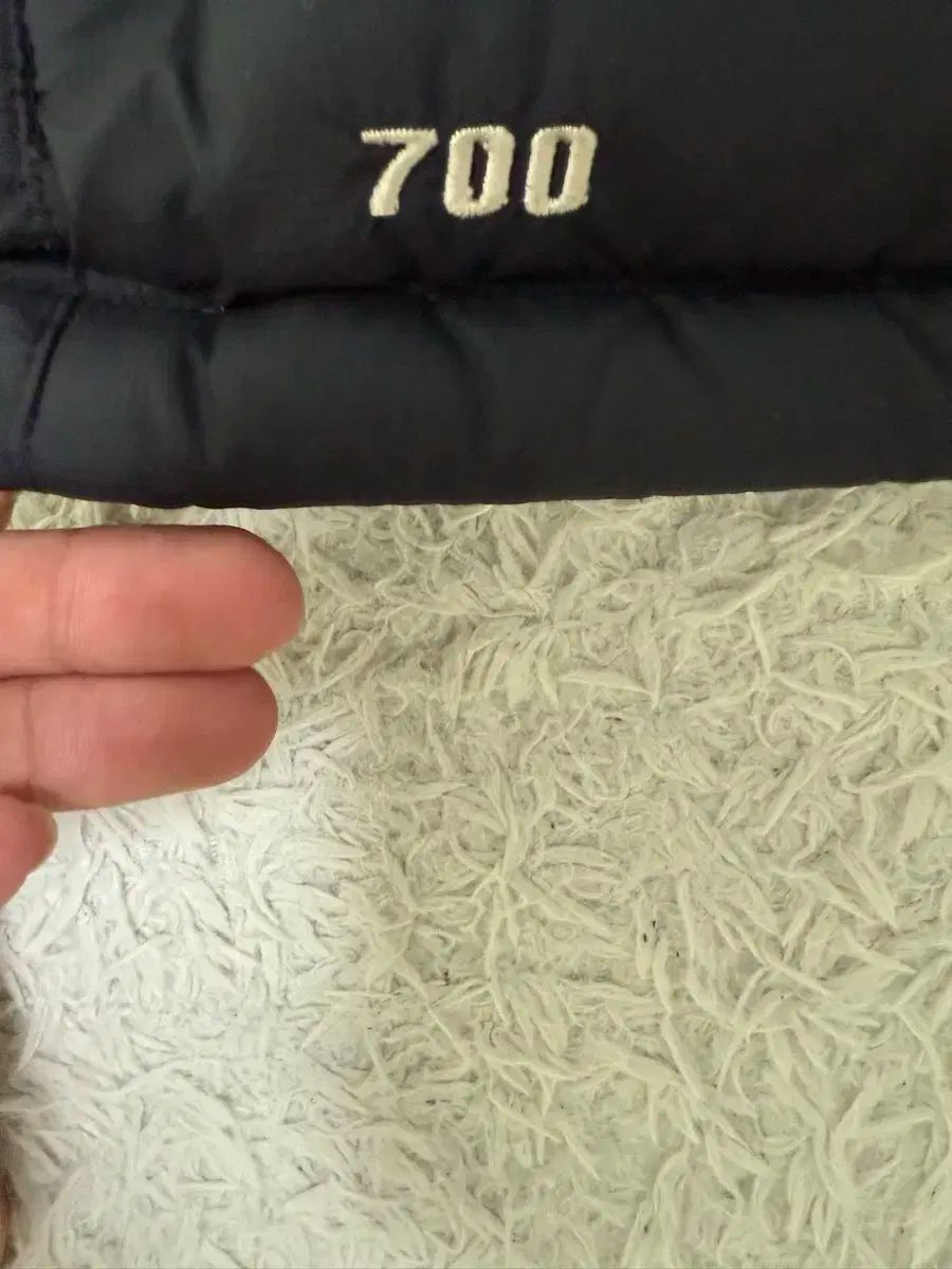 ザノースフェイス 700