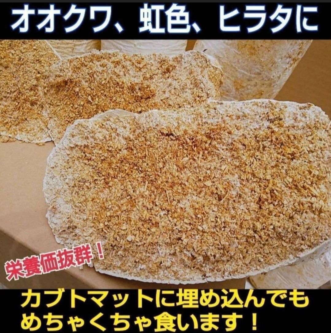 クワガタの産卵木の代わりにどうぞ！ マットに埋め込むだけで爆産！ オオヒラタケ菌床ブロック【8個セット】割り出しが楽で幼虫がたくさんとれます！発酵マット に埋め込みカブトムシ幼虫の栄養強化にも使えます！ - メルカリ