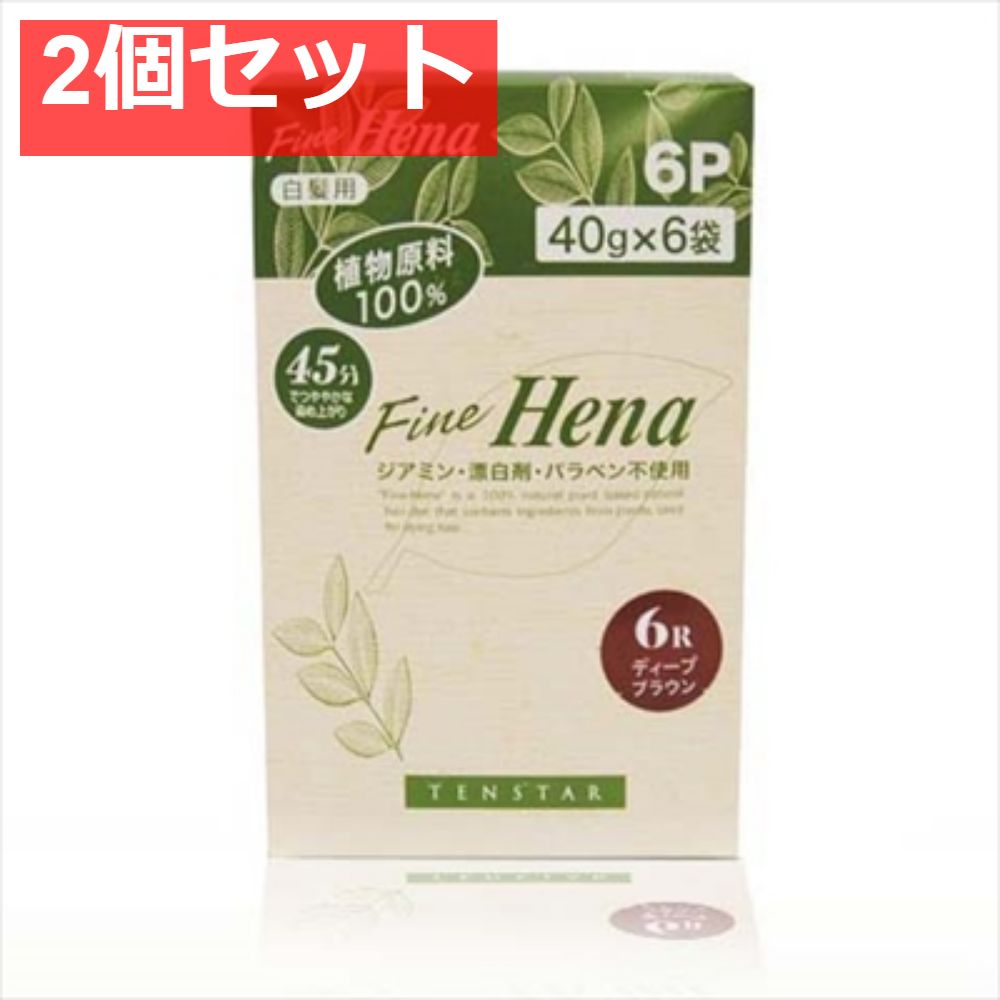 TFH-12N テンスターフアインヘナ6PDEB 2個セット まとめ売り