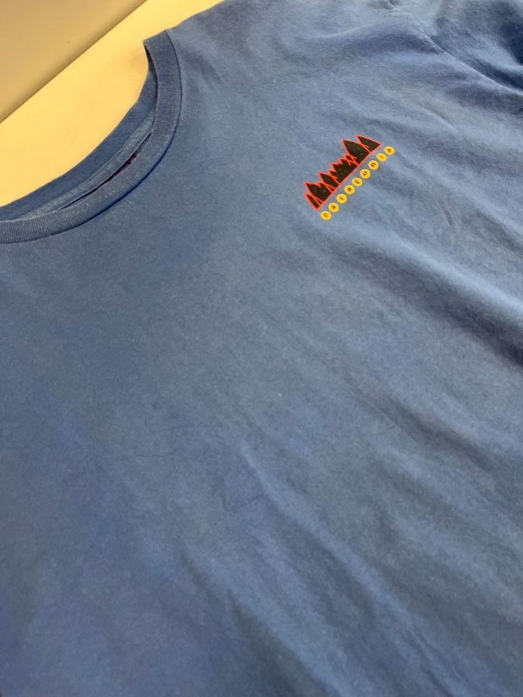 パタゴニア PATAGONIA 90s 90年代 雪なしタグ 生態系プリント USA製