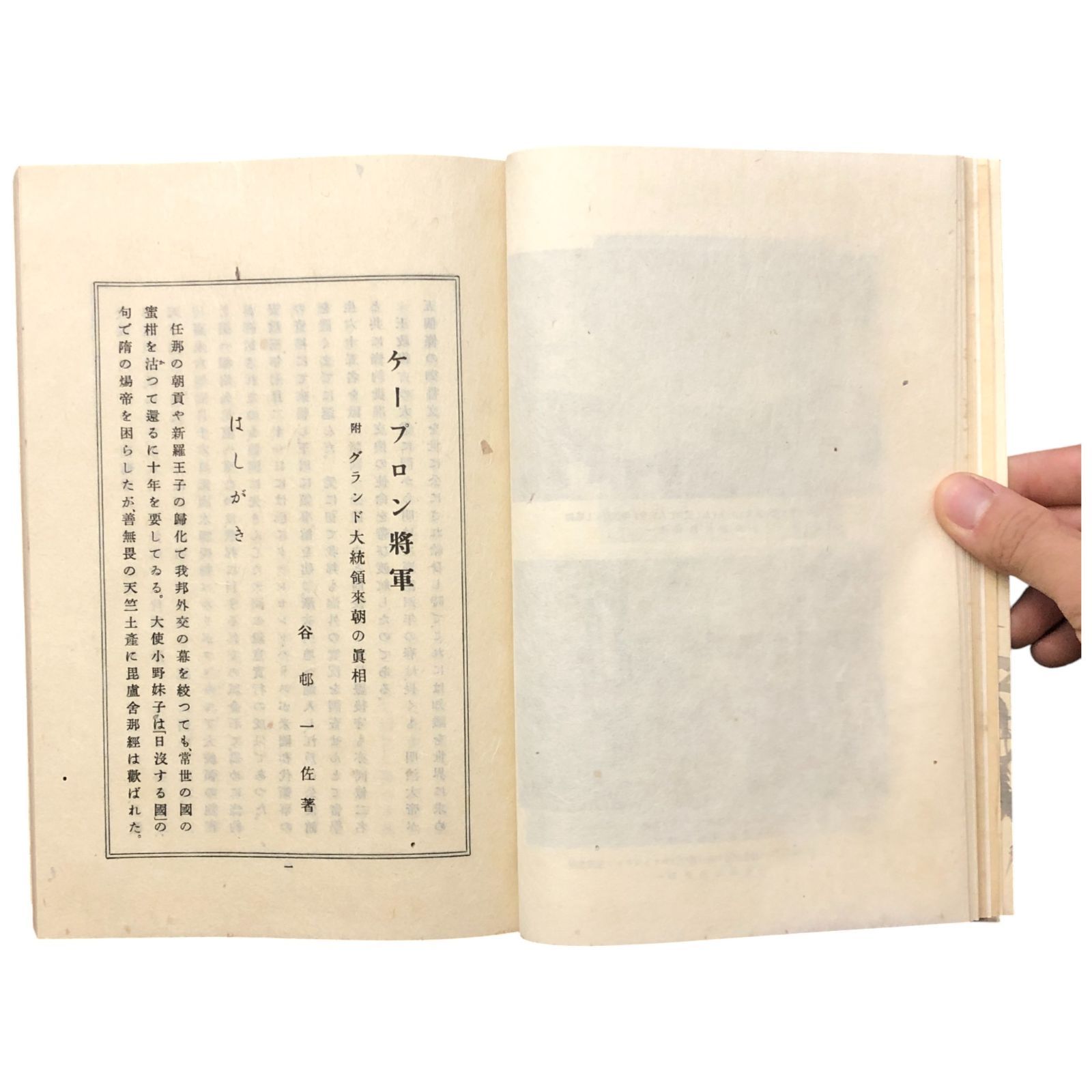 奎普龍将軍 ケープロン将軍 谷邨一佐 南洋堂 北海道開拓 開拓使最高顧問|明治時代蝦夷地開拓の歴史|グラント大統領来朝の実相 ee18ろynm1 MERCADOAVALIA_COM_BR