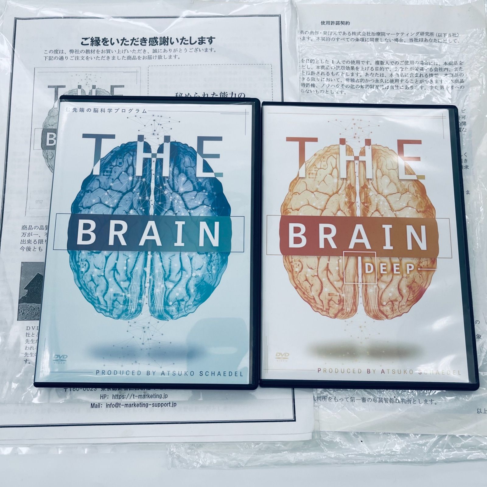 シェイデル敦子先生の【THE BRAIN-最先端の脳科学プログラム-】