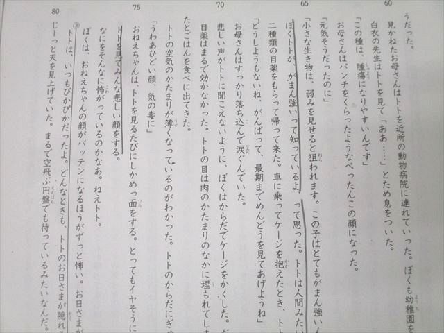 SAPIX サピックス SS特訓 開成対策プリント 01〜14 国語 計14回分