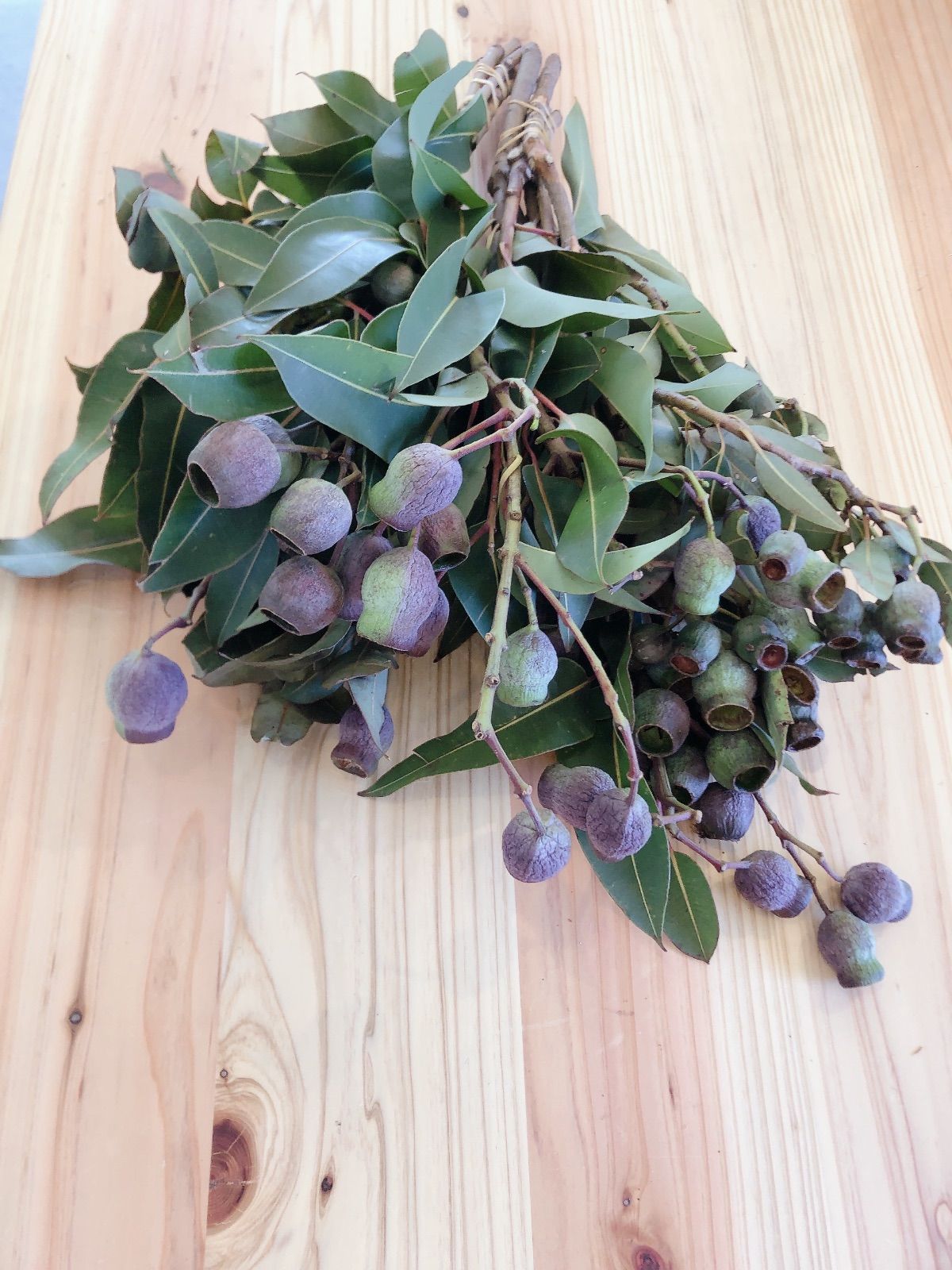 ユーカリ出品 Amazon｜Serwalin 100個 7種類 ミックスユーカリの葉 茎 バルク