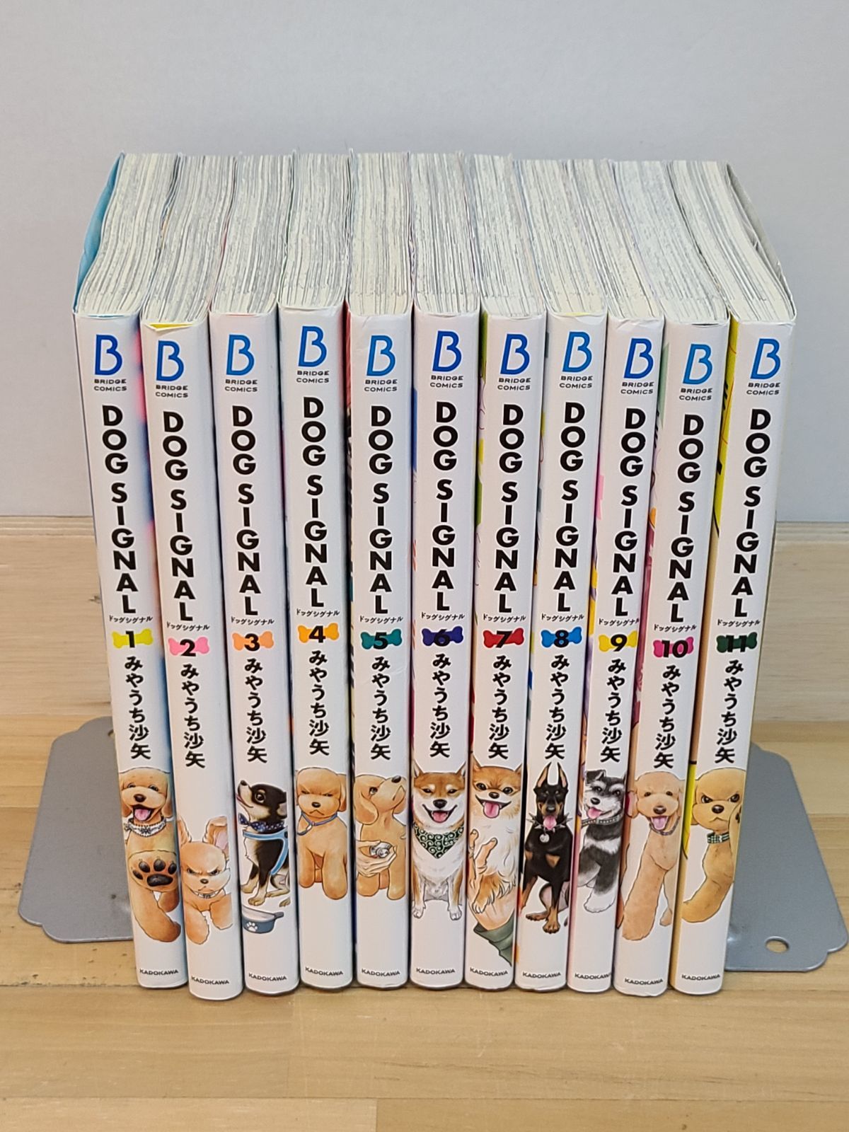 DOG SIGNAL 1巻～11巻 セット ドッグシグナル みやうち沙矢