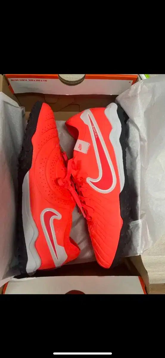 NIKE マジスタX トレーニングシューズ 25cm 一回使用 美品 NIKE マジスタX トレーニングシューズ 25cm 一回使用 美品 マジスタ