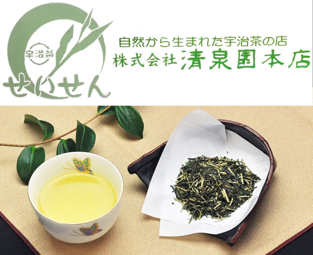 高級玉露芽茶」 新茶 宇治茶 お茶 高級 玉露 芽茶 100g 朝宮 川根 静岡