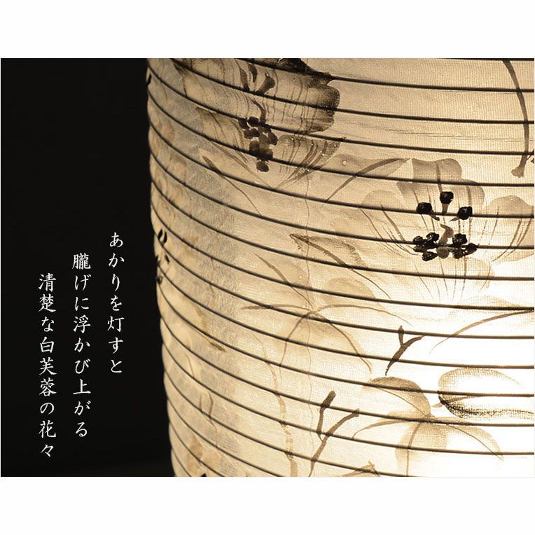 お盆提灯 仏縁堂セレクト