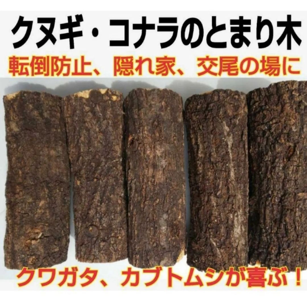クヌギ コナラのとまり木 20本セット 転倒防止 隠れ家 後尾の場 ディスプレイに クワガタ カブトムシが最も好む材です 本数の追加OK