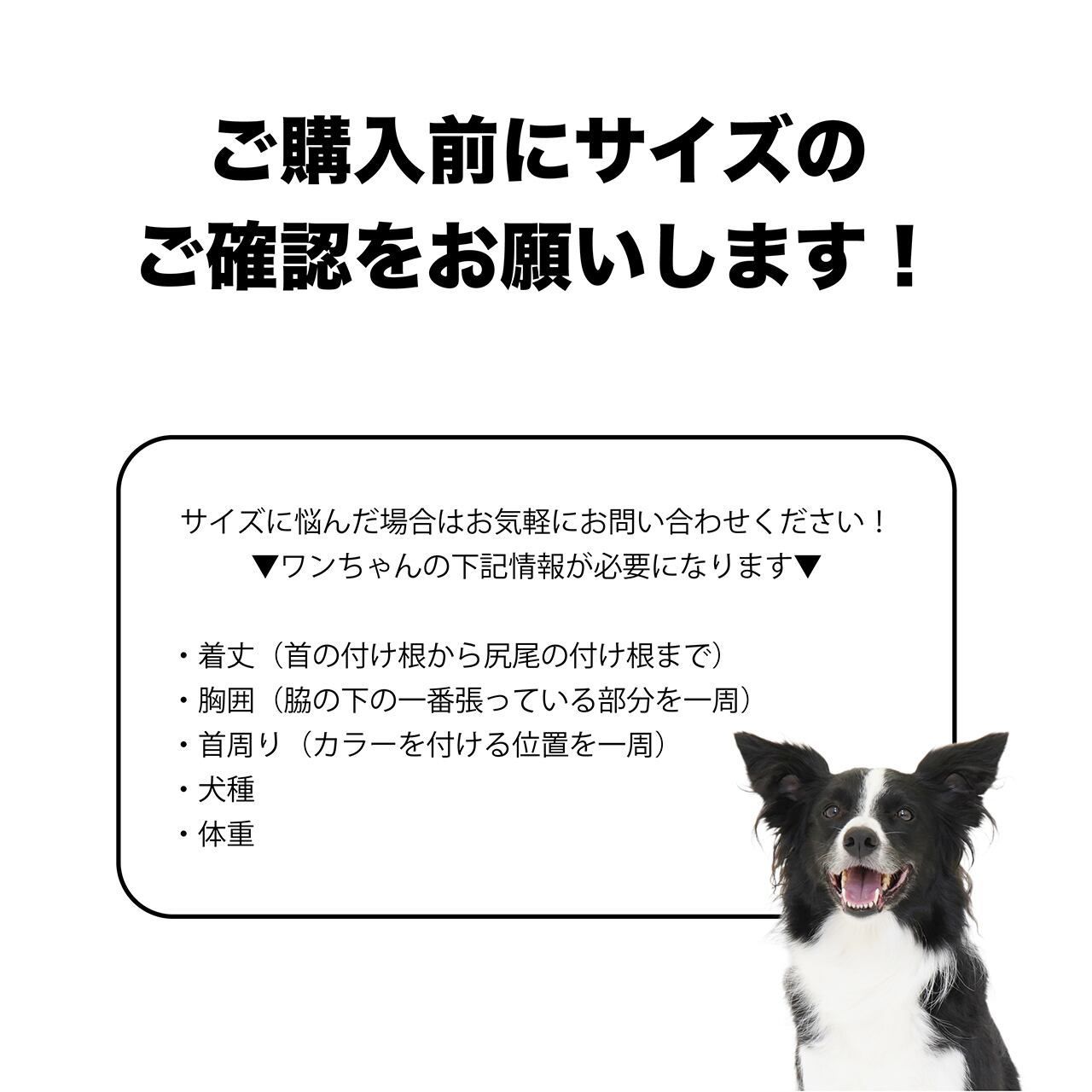 4Lサイズ