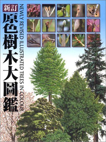 原色樹木大圖鑑 新訂版 [大型本]
