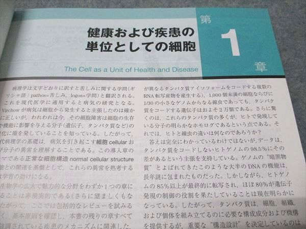 エルゼビアジャパン ロビンス 基礎病理学 原書10版 2021 Kumar