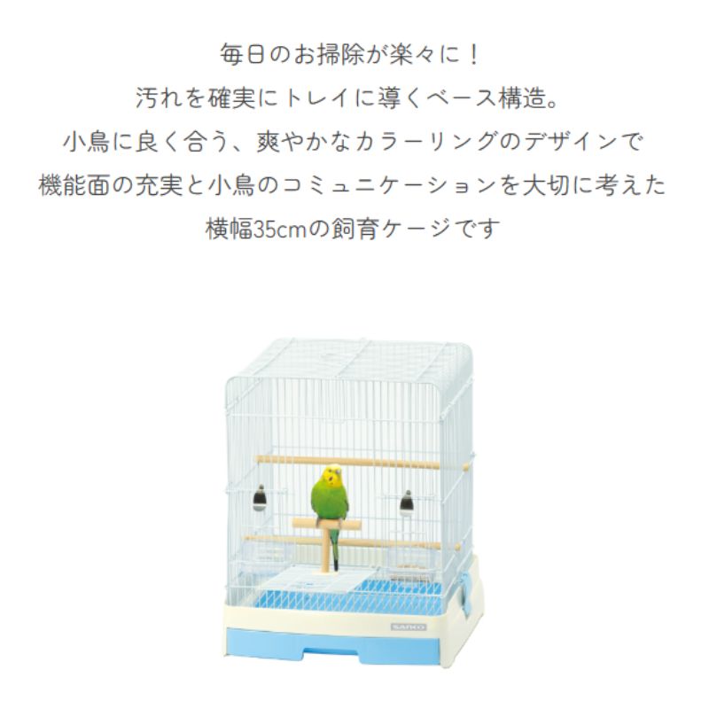 小鳥