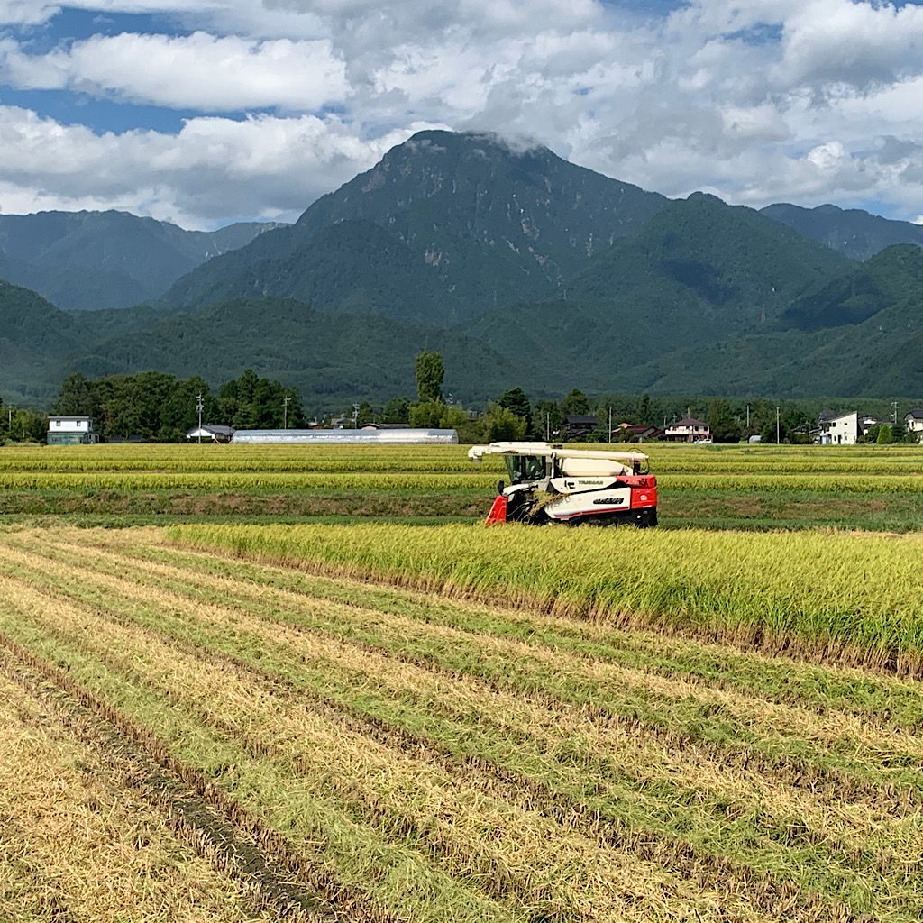 令和6年産新米【コシヒカリ玄米18.8kg】安曇野産自家製