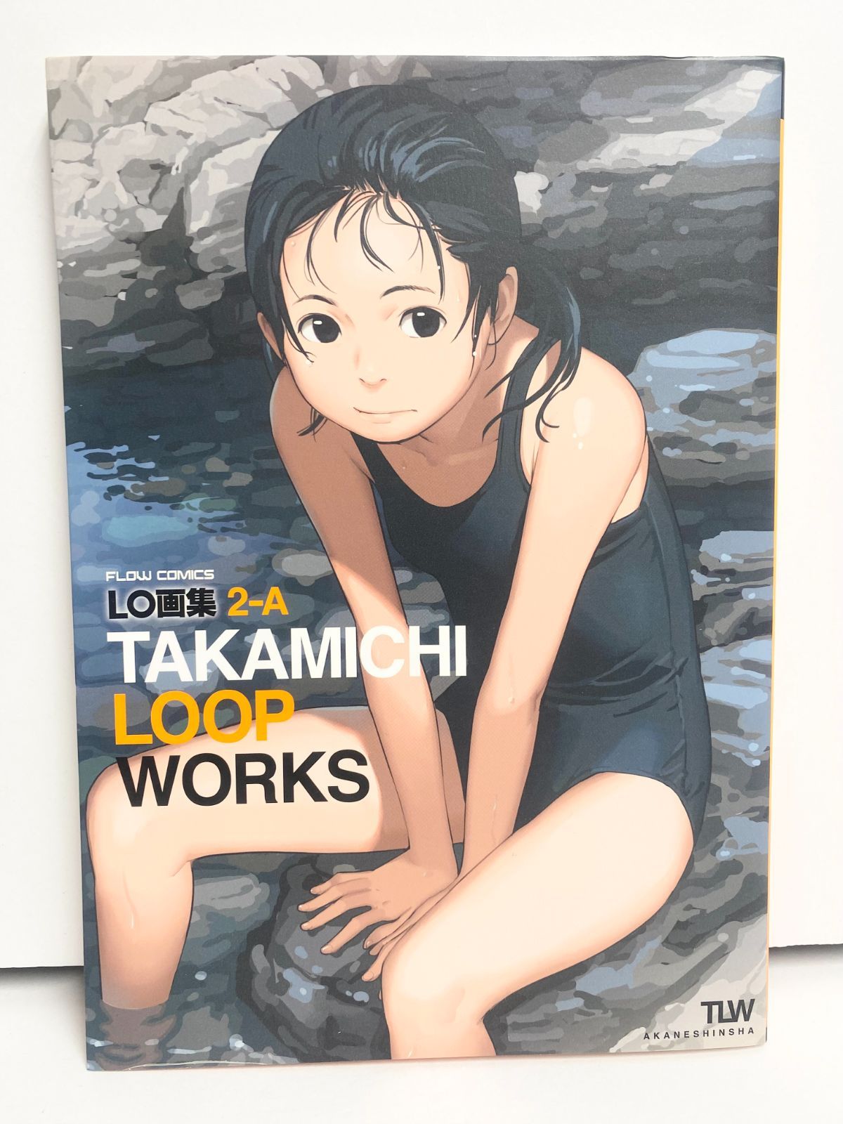 お得用TAKAMICHI画集　たかみち　TAKAMICHI WORKS　LO画集 趣味・スポーツ・実用