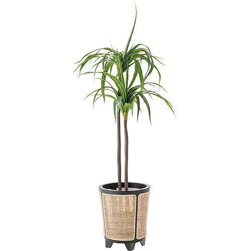 東谷 プランンターカバー ナチュラル GUY-925