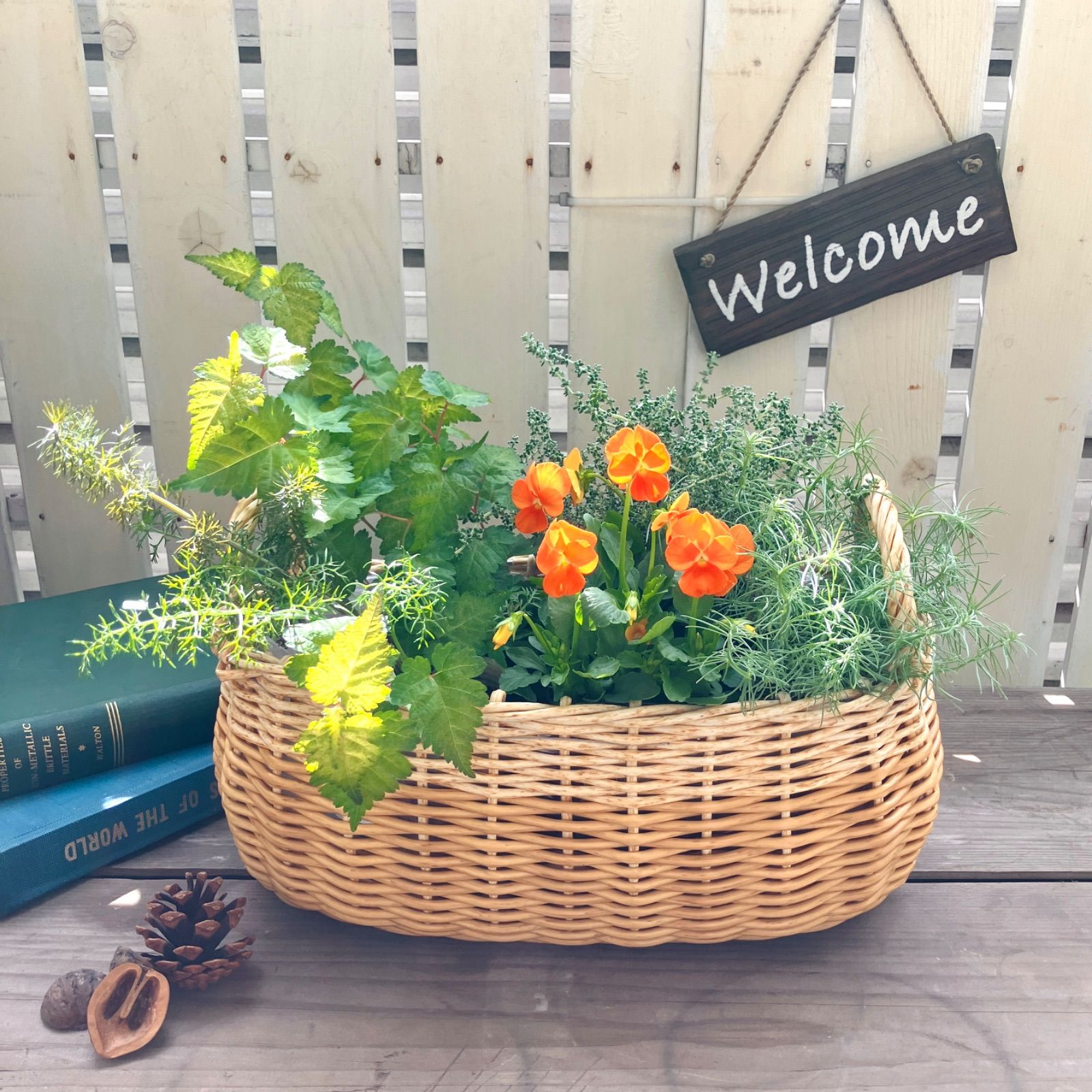 カゴバスケット鉢 花 寄せ植え ビニール付き 持ち手付き ナチュラル