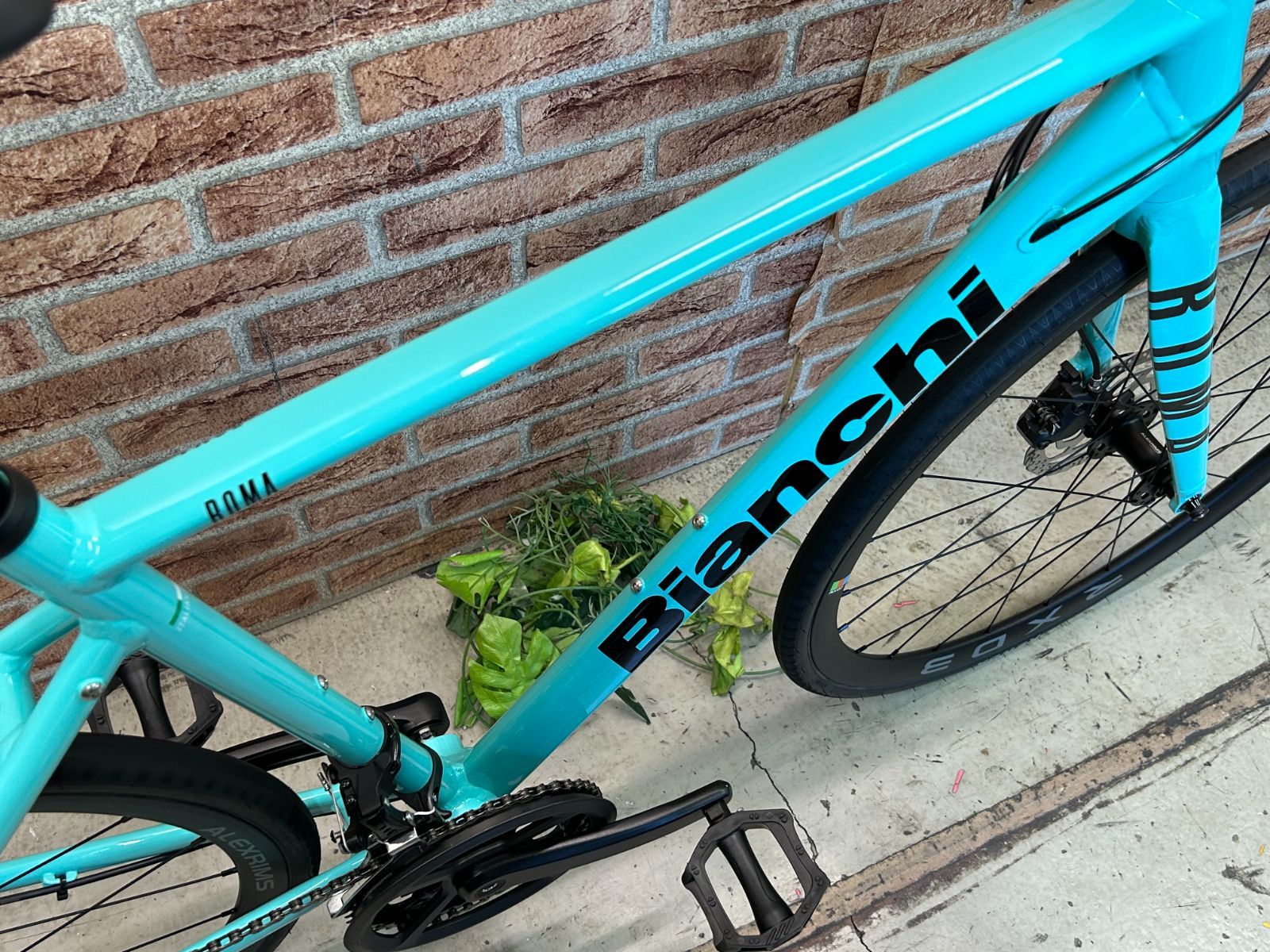 大特価sale!! 極上品!! BIANCHI ROMA2 2023 size:50 170cm前後