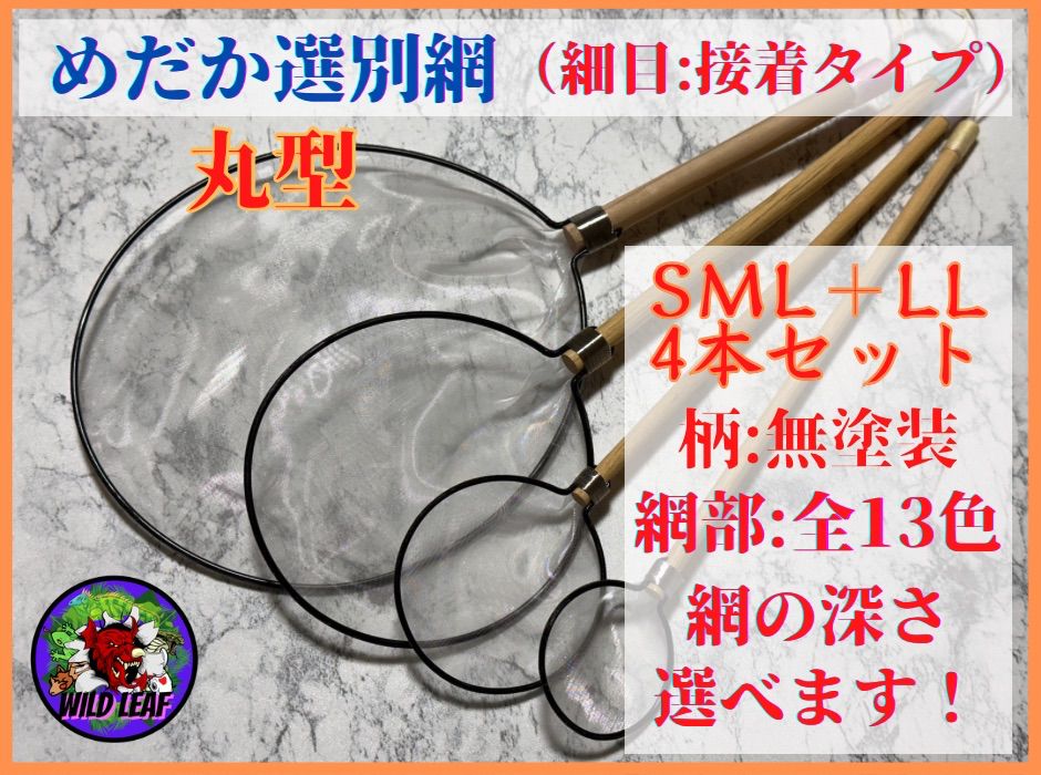 激レア メダリスト 販促 複製原稿5枚セット 楽天市場】メダカ めだか GOD （ゴッド） 1ペア ペット 観賞魚