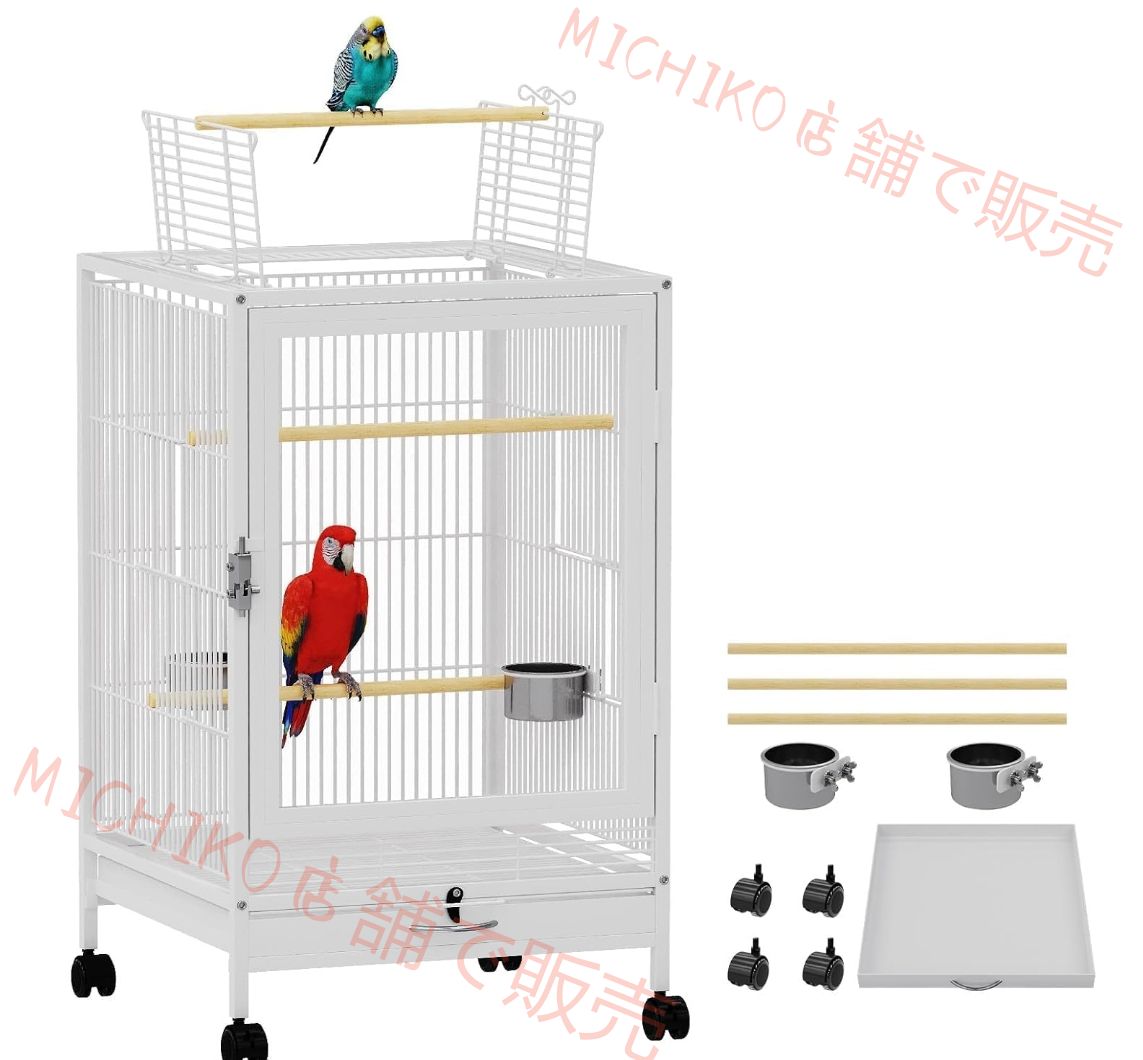 トップダブルドア 天窓