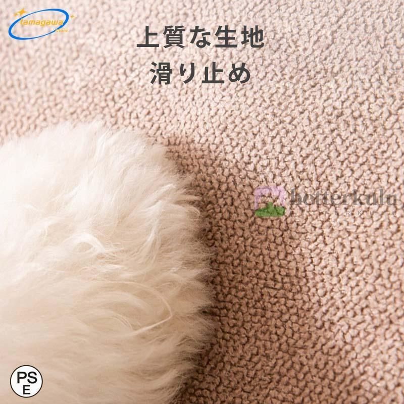 ケガ防止 ペ