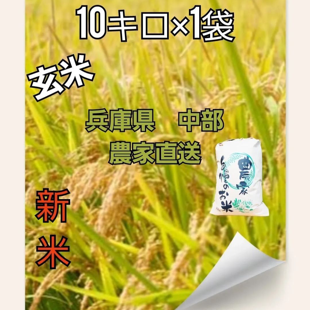 コシヒカリ玄米 10キロ 兵庫県産 令和7年農家直送 単一原料米