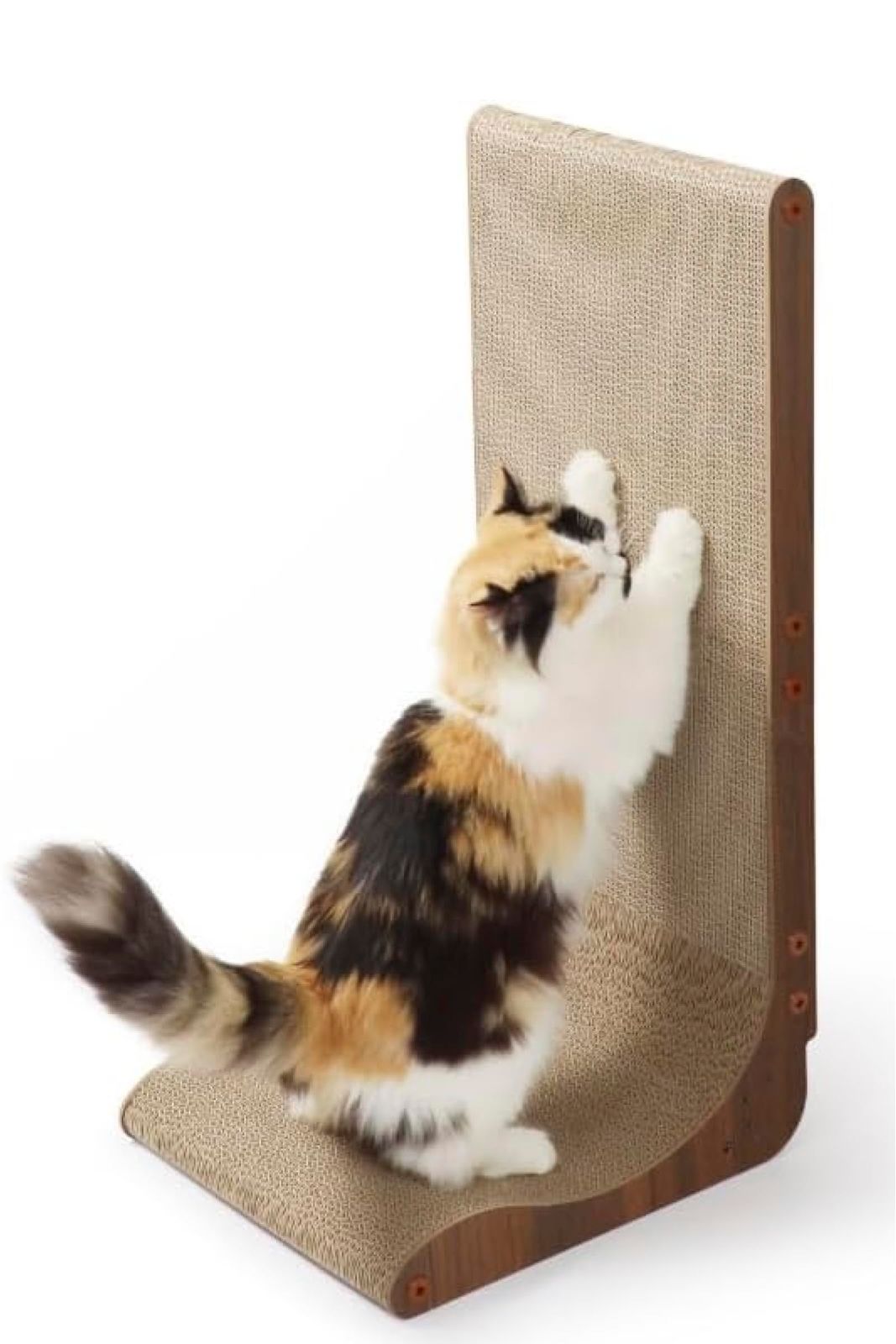 田中君枝「コロポックル」額装10剛○油彩作品 サイン タイトル