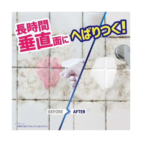 まとめ リベルタカビダッシュ