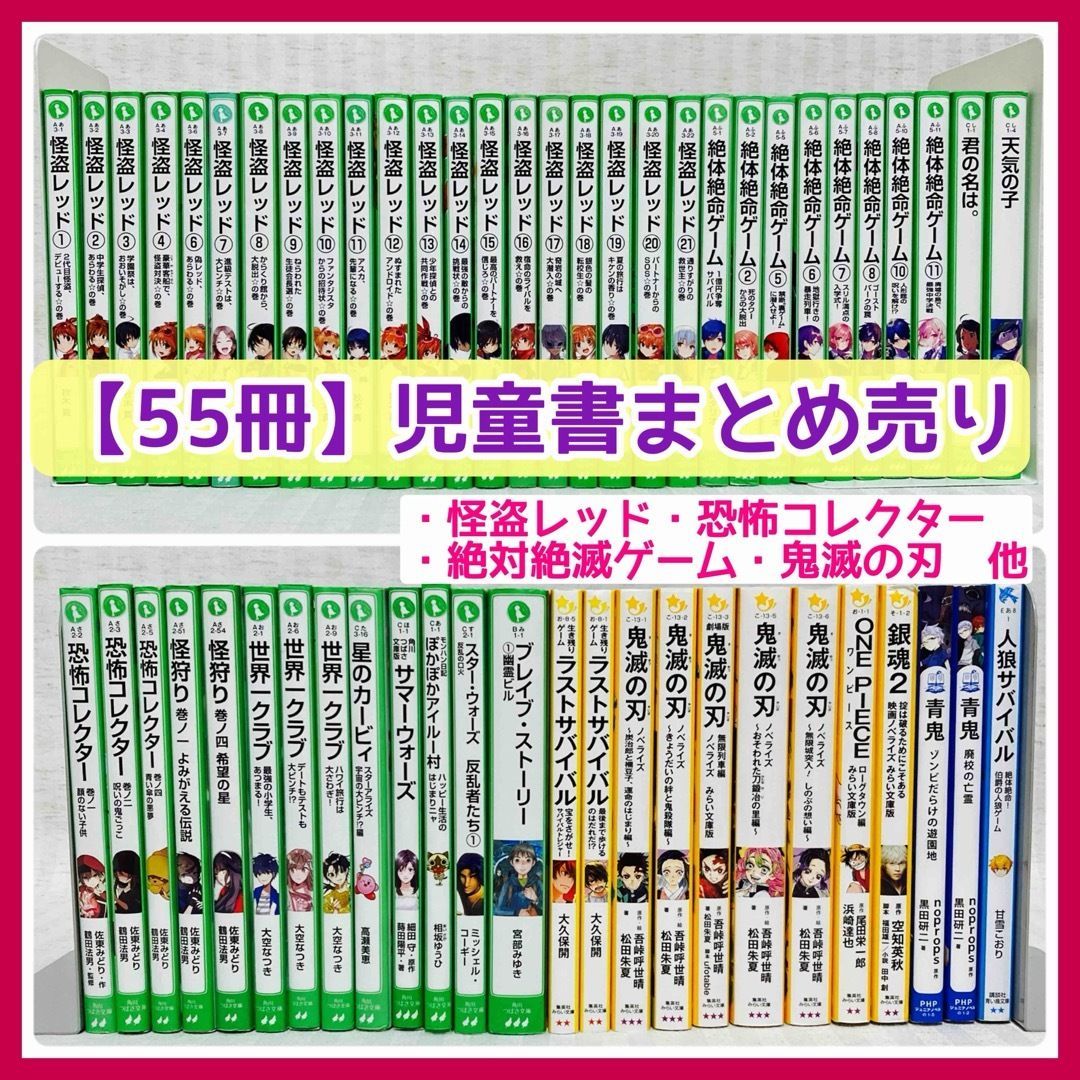 児童書 55冊 怪盗レッド 絶対絶滅ゲーム 恐怖コレクター 他 児童書 小説 非全巻 FE_01_2