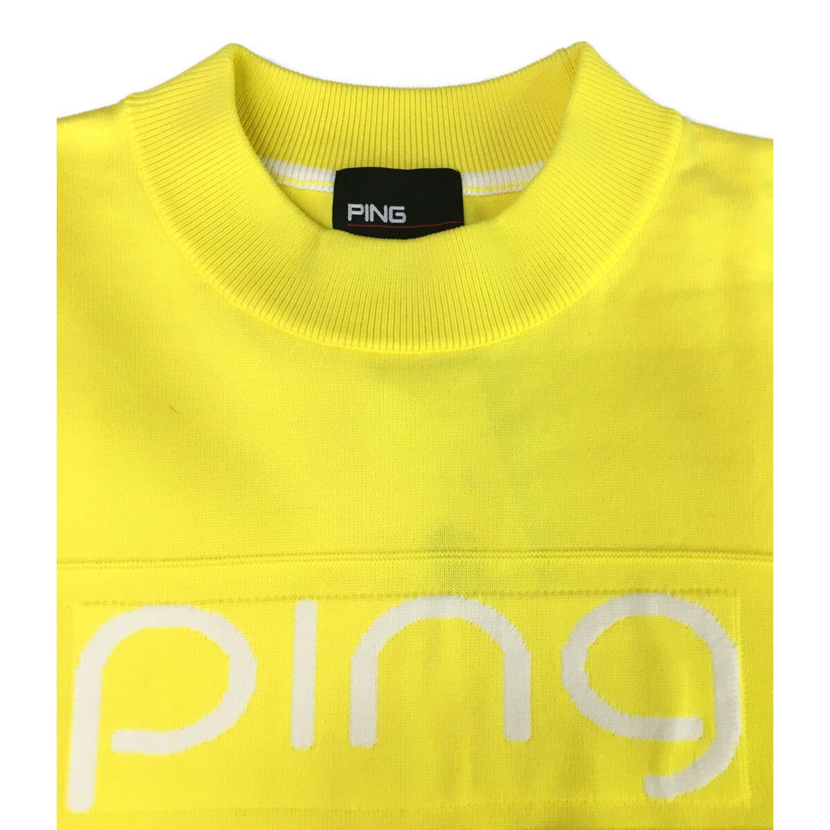 PING セットアップ
