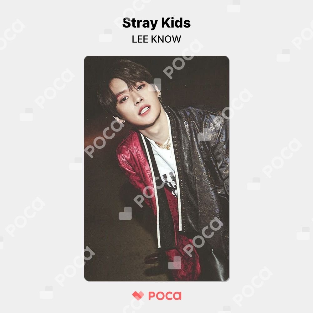 straykids リノ ソウルコントレカ StrayKids スキズ dominATE ソウルコン STAYZONE 31日 リノ