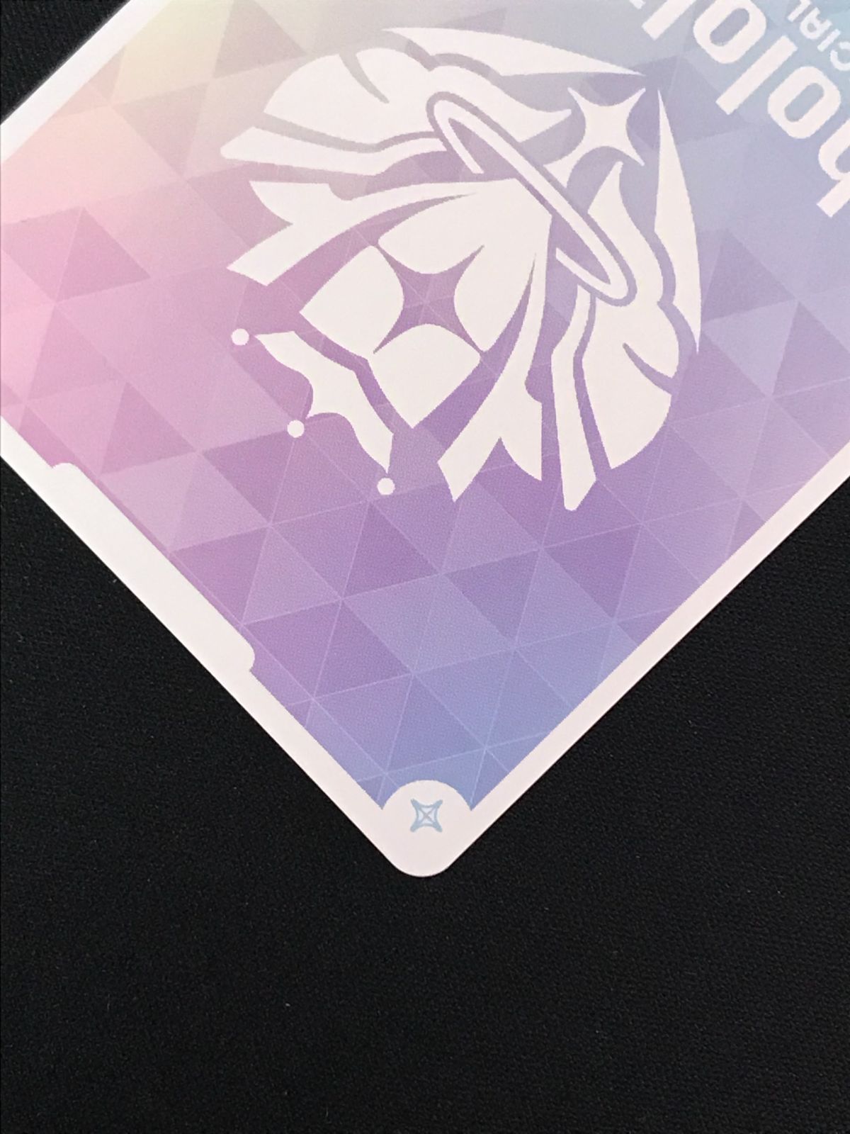 ホロライブOCG ホロカ 宝鐘マリン(箔押しサイン入り) SEC ホロライブ