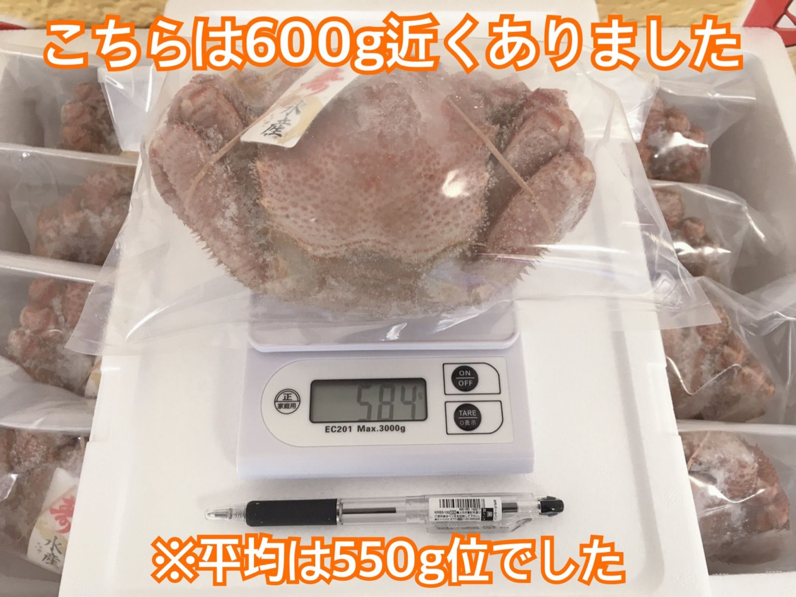 【激安特価】北海道産 毛蟹 約500g 身もミソも濃厚 3特 冷凍 ボイル-6