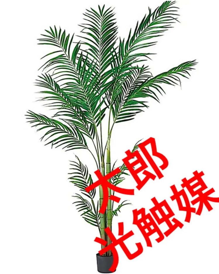 光触媒 人工観葉植物 ウォールグリーン フェイクグリーン フェニックス