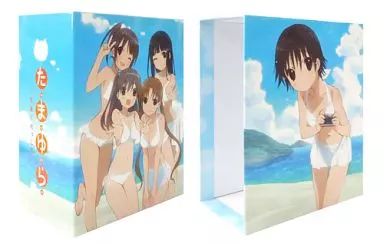 特典系収納BOX キャラクター 沢渡楓|集合 4人 描きおろし全巻収納ボックス Blu-ray たまゆら～もあぐれっしぶ～ ゲーマーズ 全巻 特典