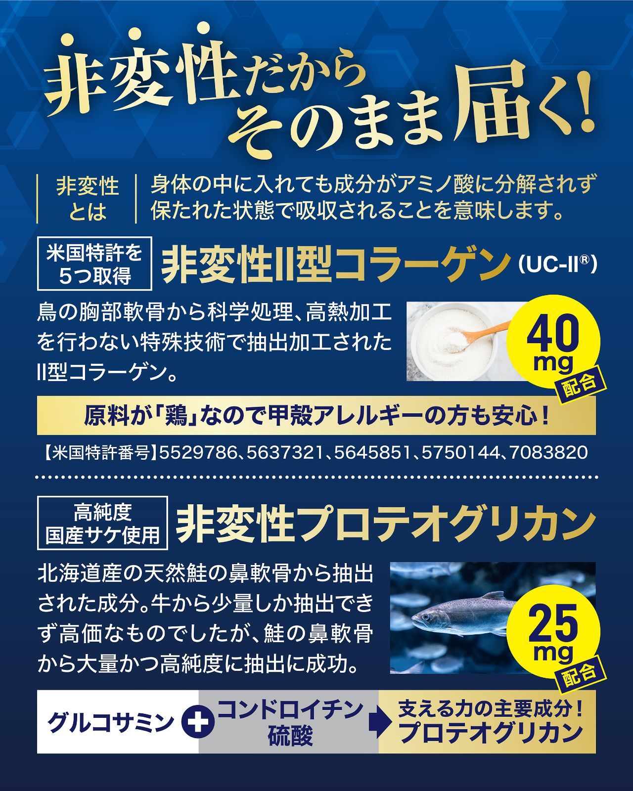 公式 深潤EX プロテオグリカン 3 750mg 150日 非変性 Ⅱ型 コラーゲン 6 000mg 150日 高配合 膝 関節 サプリ 1日1粒 150粒入 製造 PRO GRADE FORMULA KANDAIZUMI_COM